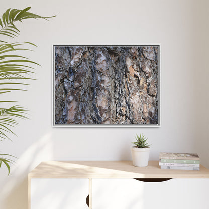Weathered Patterns - Unique Stretched Canvas Wall Art - Art By Earth