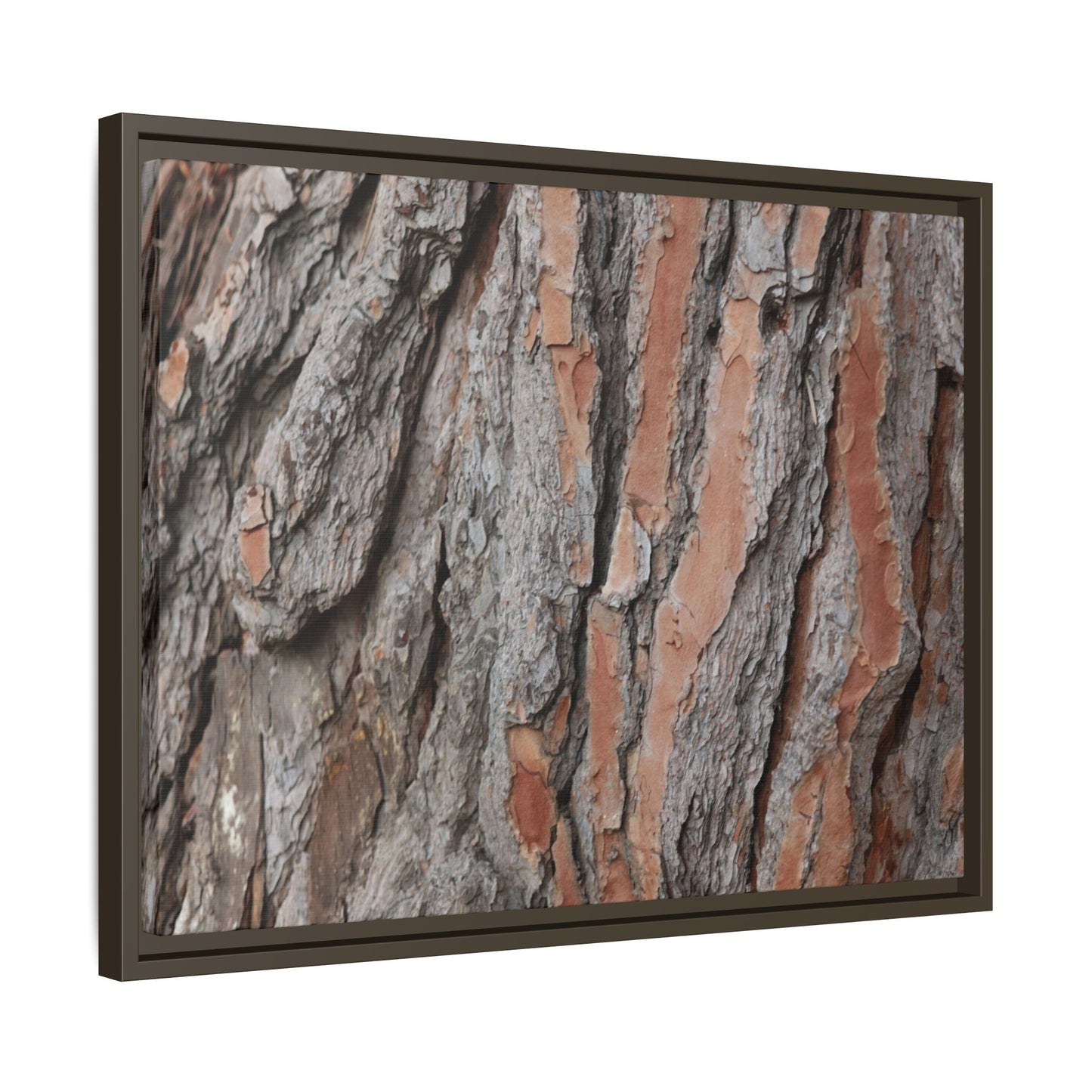 Woodland Layers - Unique Stretched Canvas Wall Art - Art By Earth