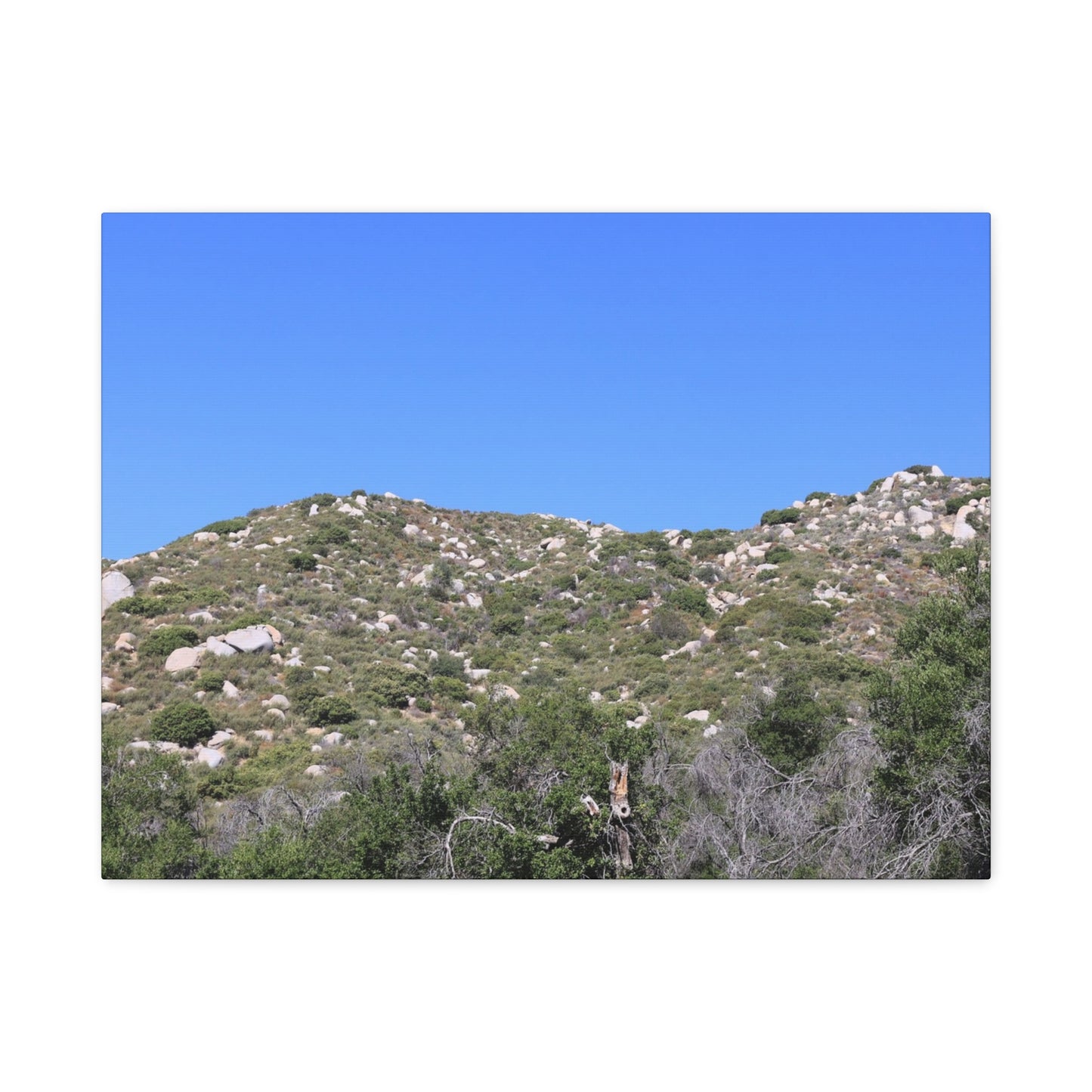 Rocky Hills with Desert Vegetation - Unique Frameless Canvas Wall Art