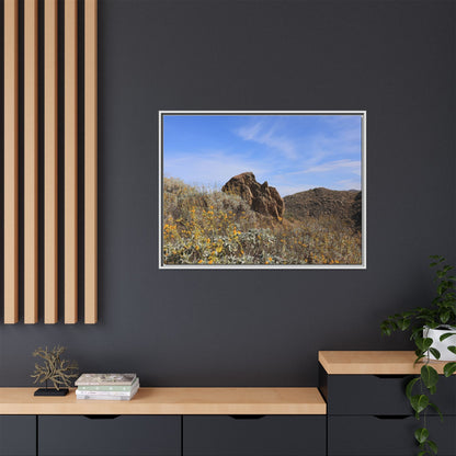 Golden Flowers in Arid Landscape - Unique Stretched Canvas Wall Art - Art By Earth