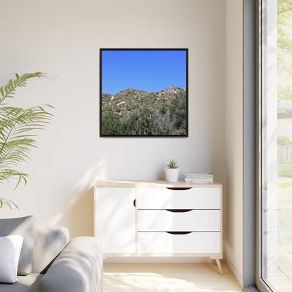 Sparse Vegetation - Unique Stretched Canvas Wall Art