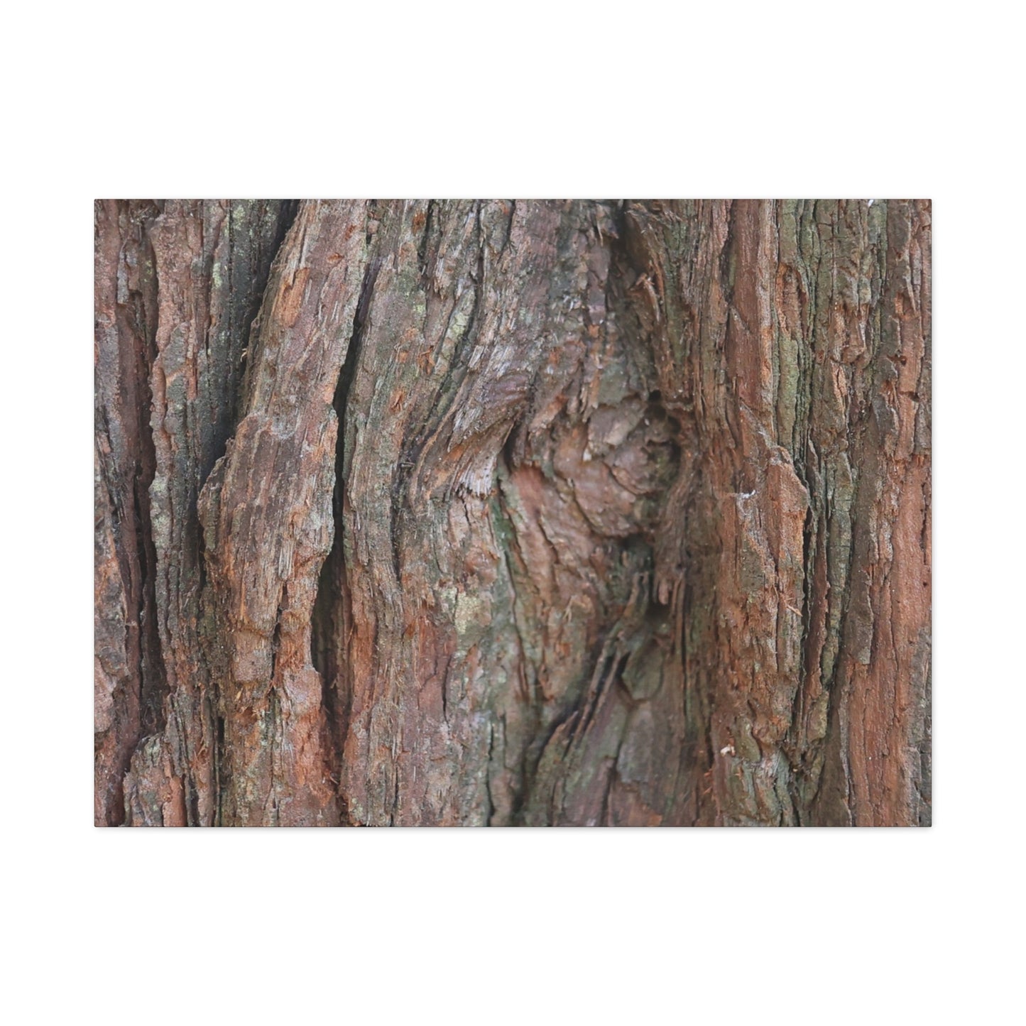 Rustic Embrace - Unique Frameless Canvas Wall Art - Art By Earth