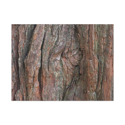 Rustic Embrace - Unique Frameless Canvas Wall Art - Art By Earth