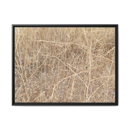Golden Stalks - Unique Stretched Canvas Wall Art - Art By Earth
