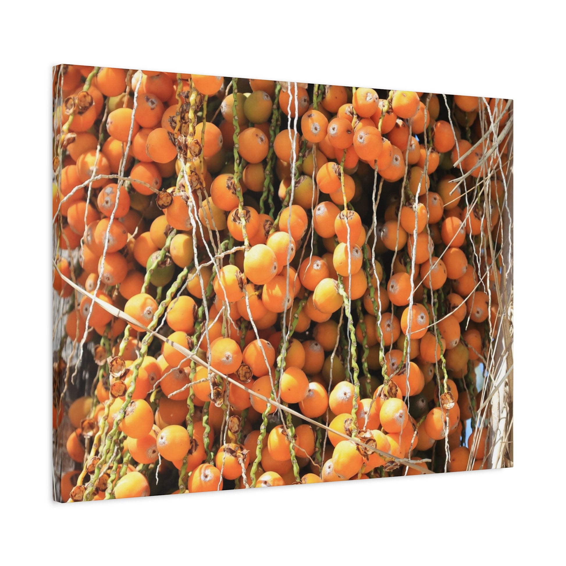 Orange Harvest - Unique Frameless Canvas Wall Art - Art By Earth