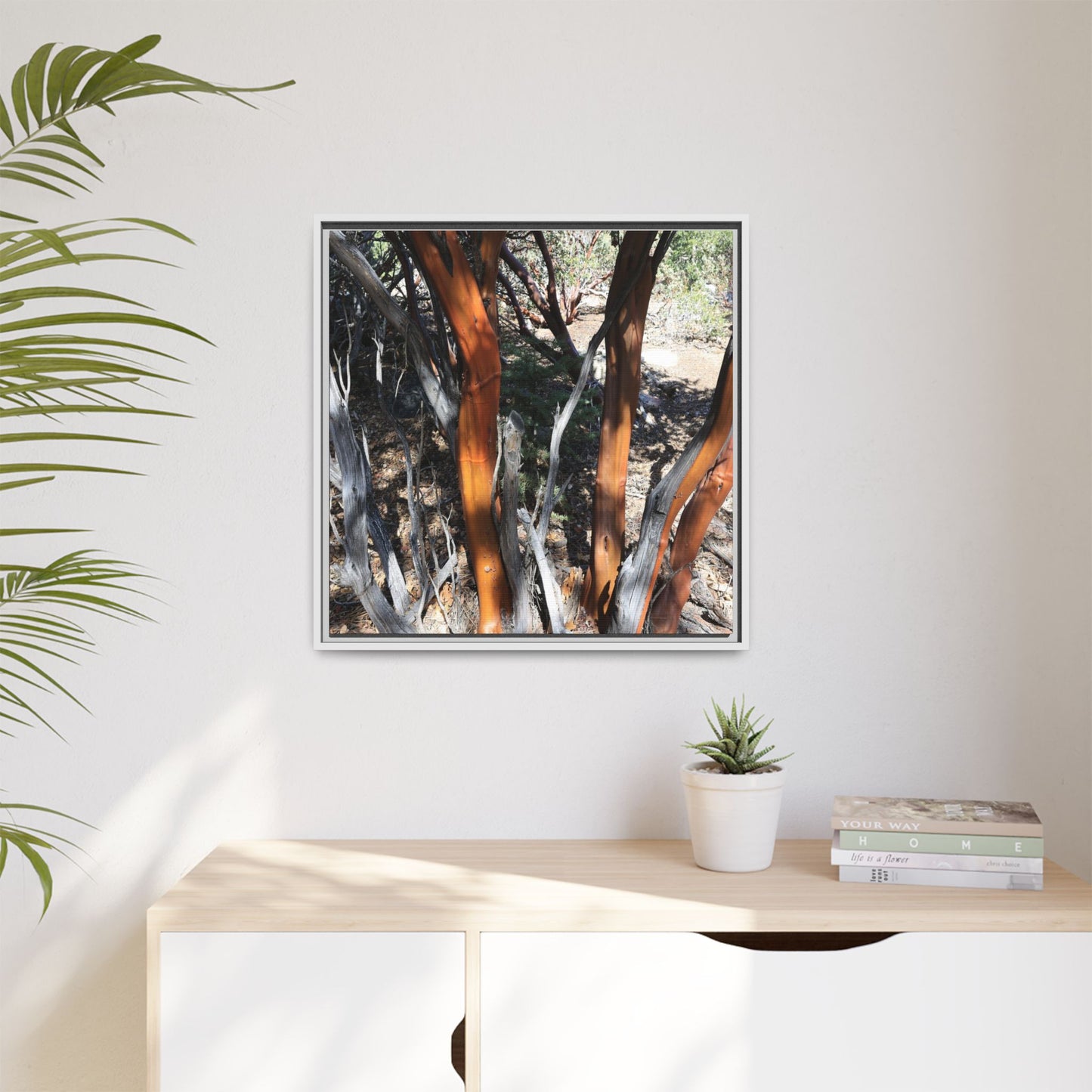 Eucalyptus Grove - Unique Stretched Canvas Wall Art