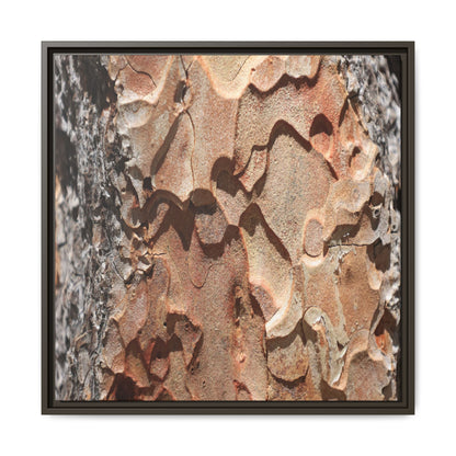 Rust and Stone - Unique Stretched Canvas Wall Art - Art By Earth