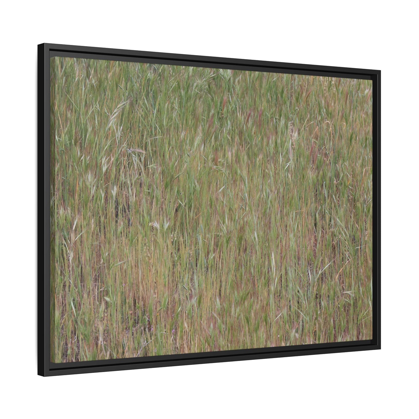 Field of Dreams - Unique Stretched Canvas Wall Art - Art By Earth