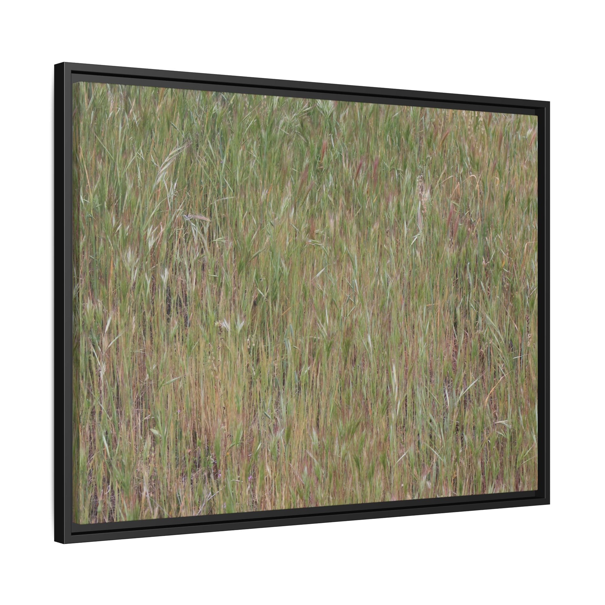 Field of Dreams - Unique Stretched Canvas Wall Art - Art By Earth