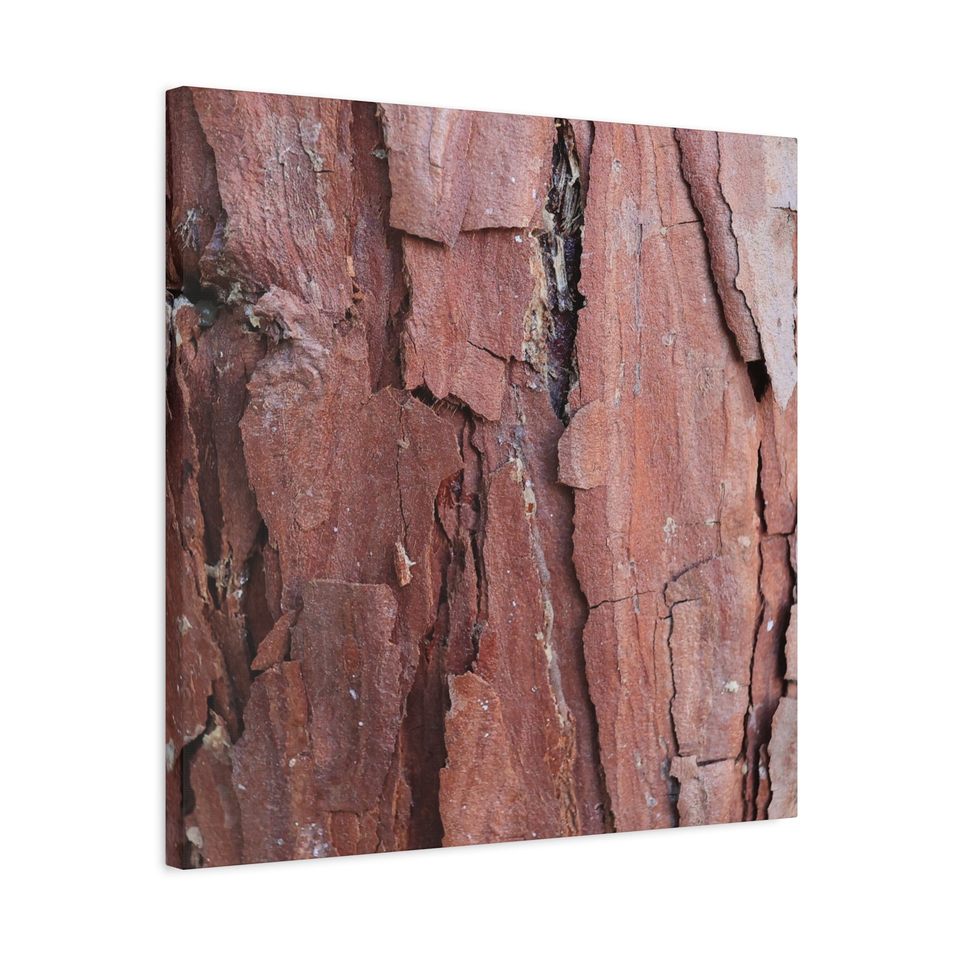 Crimson Fissures - Unique Frameless Canvas Wall Art - Art By Earth