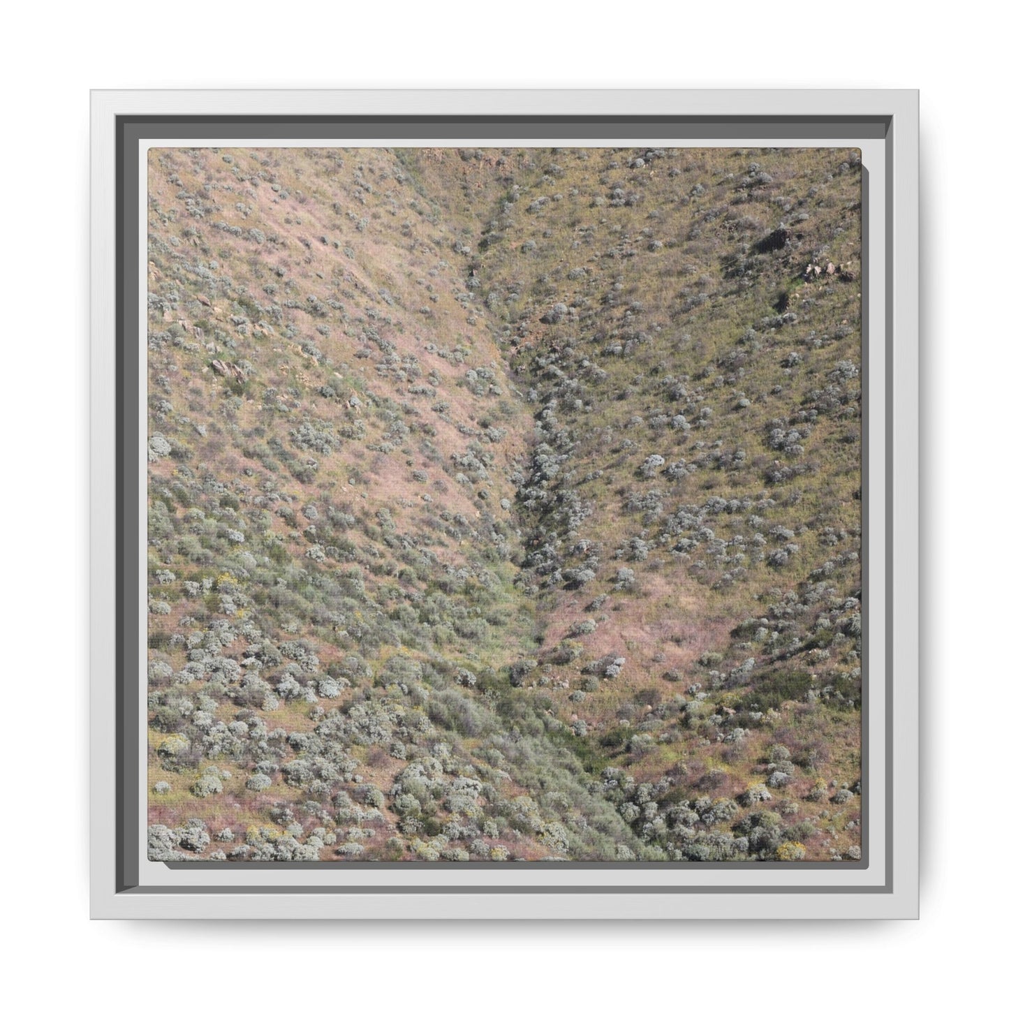 Mountain Slope with Desert Vegetation - Unique Stretched Canvas Wall Art - Art By Earth