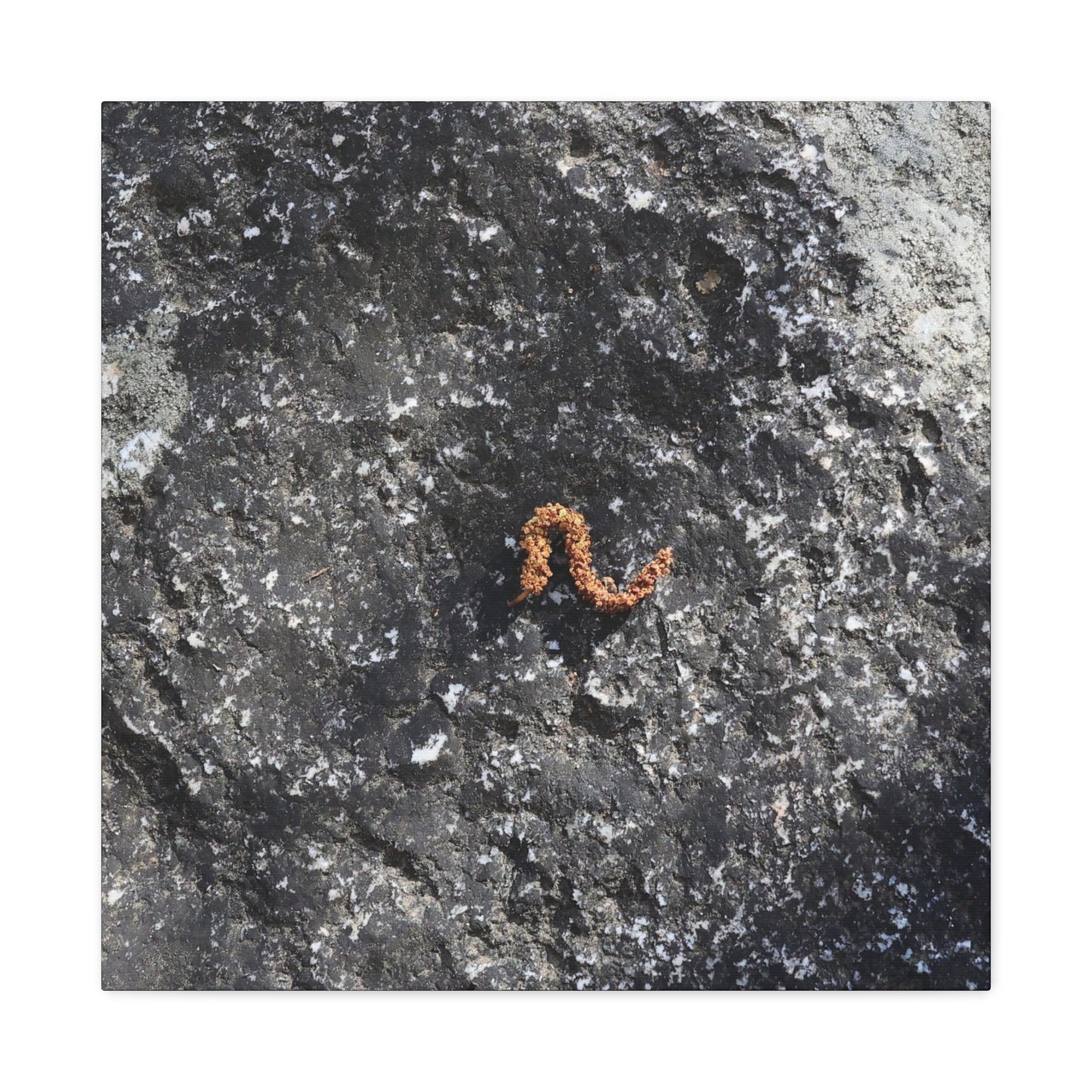 Earthen Serpent - Unique Frameless Canvas Wall Art - Art By Earth