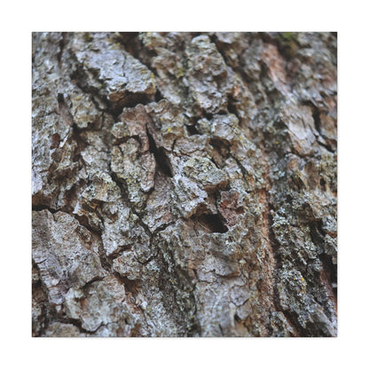 Cracked Echoes - Unique Frameless Canvas Wall Art - Art By Earth