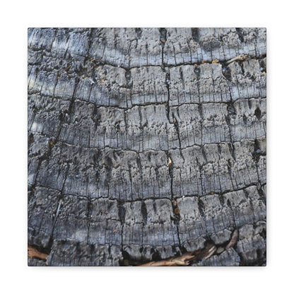 Whispers of Age - Unique Frameless Canvas Wall Art - Art By Earth