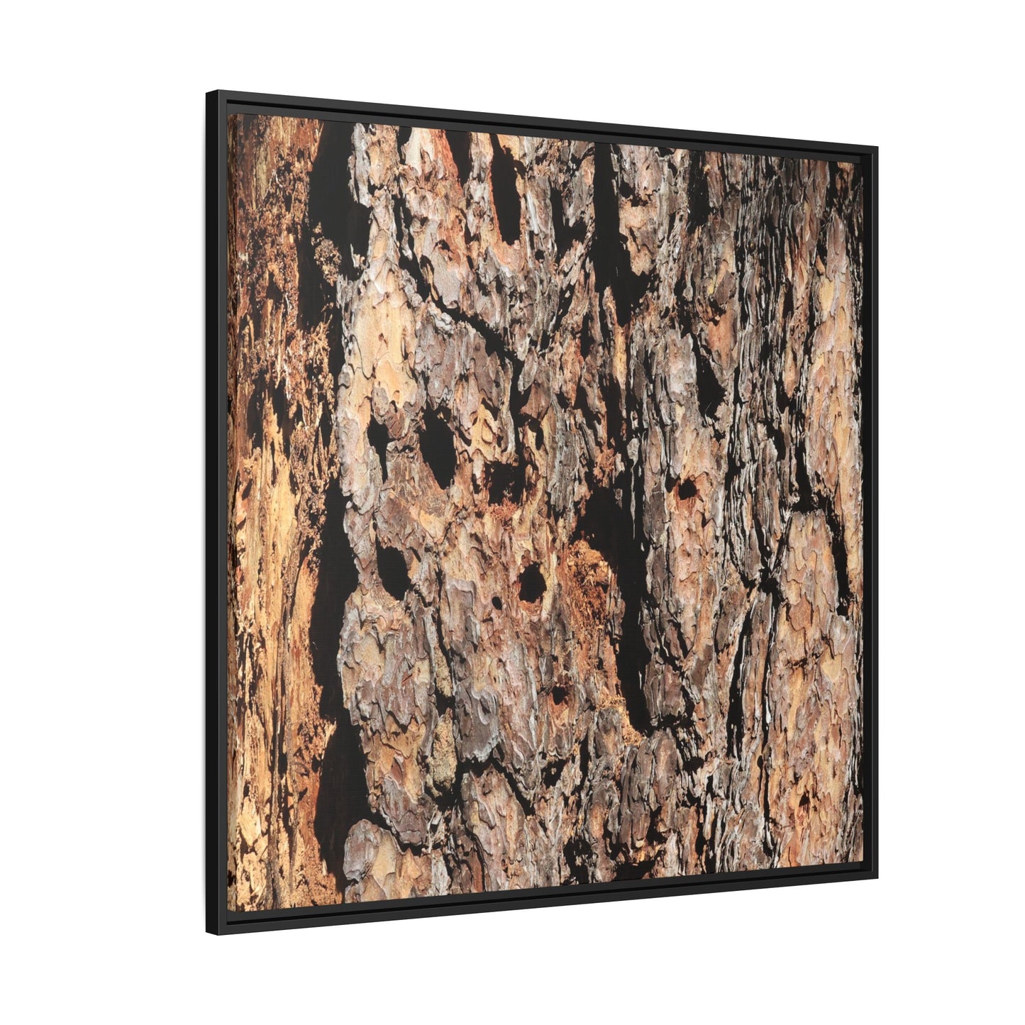 Rugged Rhythms - Unique Stretched Canvas Wall Art - Art By Earth