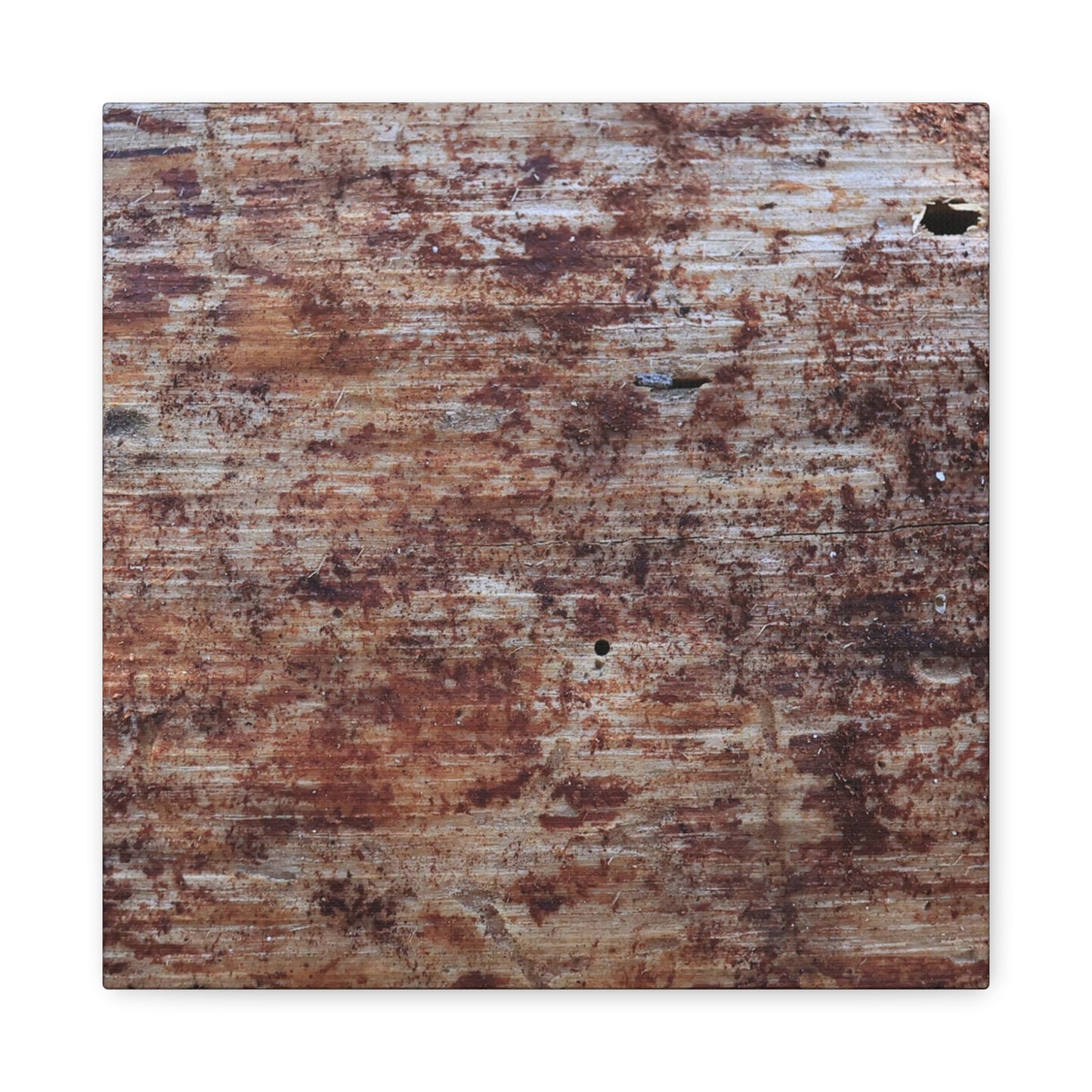 Decaying Memoir - Unique Frameless Canvas Wall Art - Art By Earth