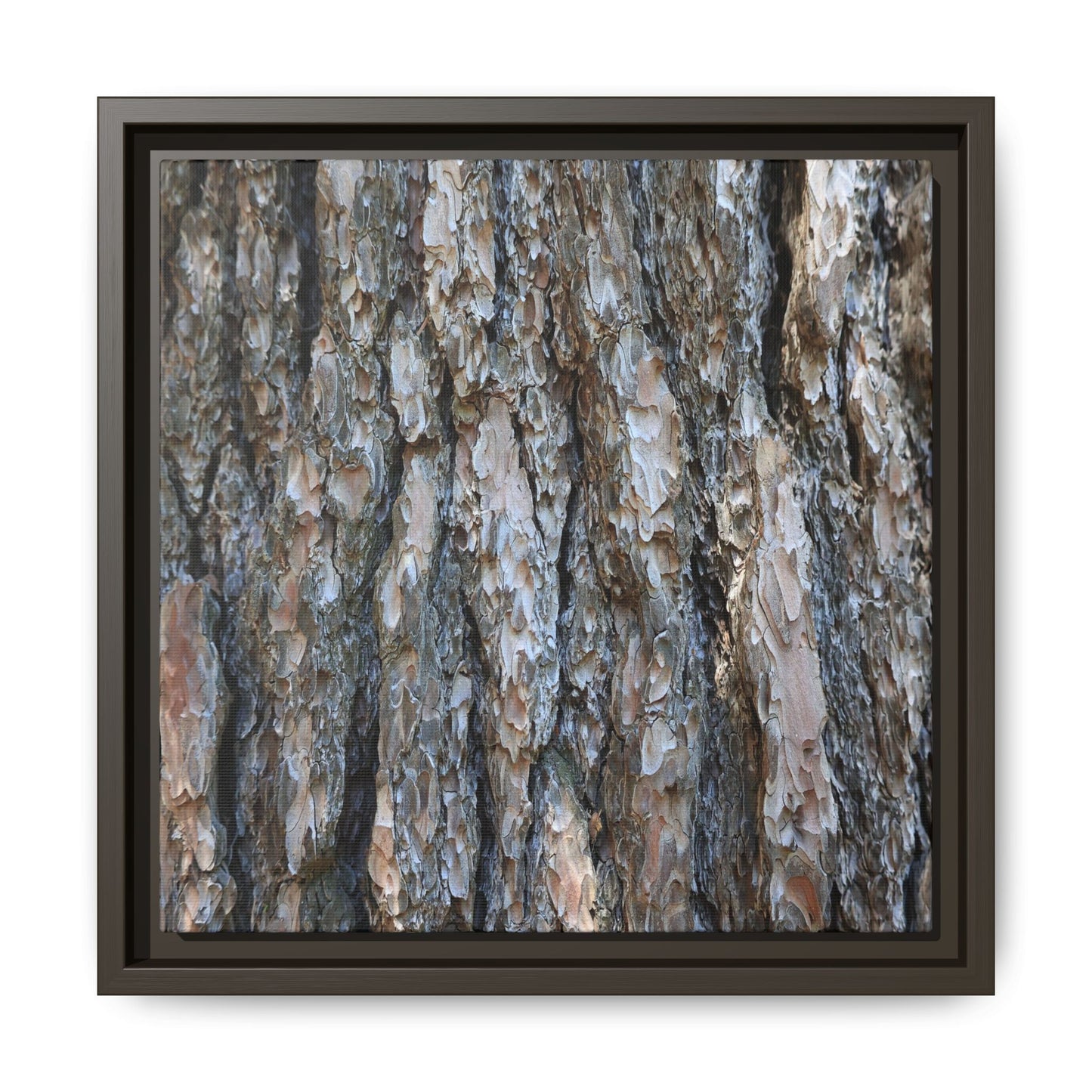 Bark Whispers - Unique Stretched Canvas Wall Art - Art By Earth