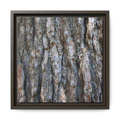 Bark Whispers - Unique Stretched Canvas Wall Art - Art By Earth
