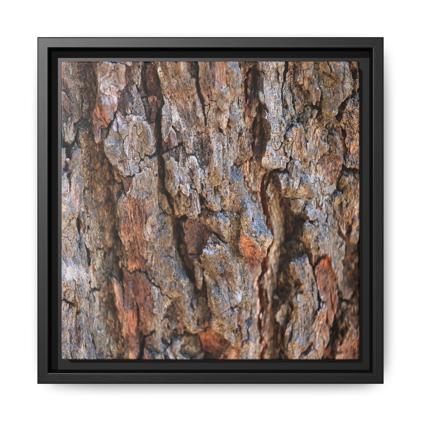 Craggy Textures - Unique Stretched Canvas Wall Art - Art By Earth