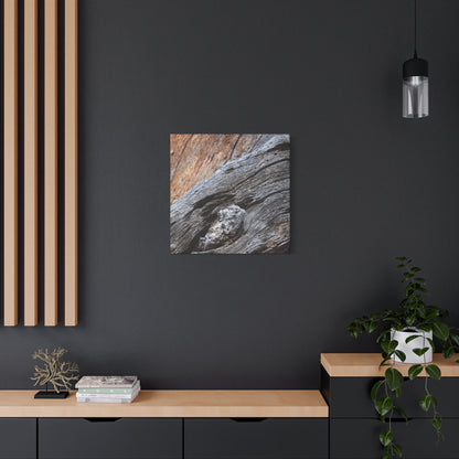 Tree Bark Texture - Unique Frameless Canvas Wall Art - Art By Earth