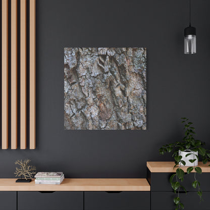 Rugged Canvas - Unique Frameless Canvas Wall Art - Art By Earth