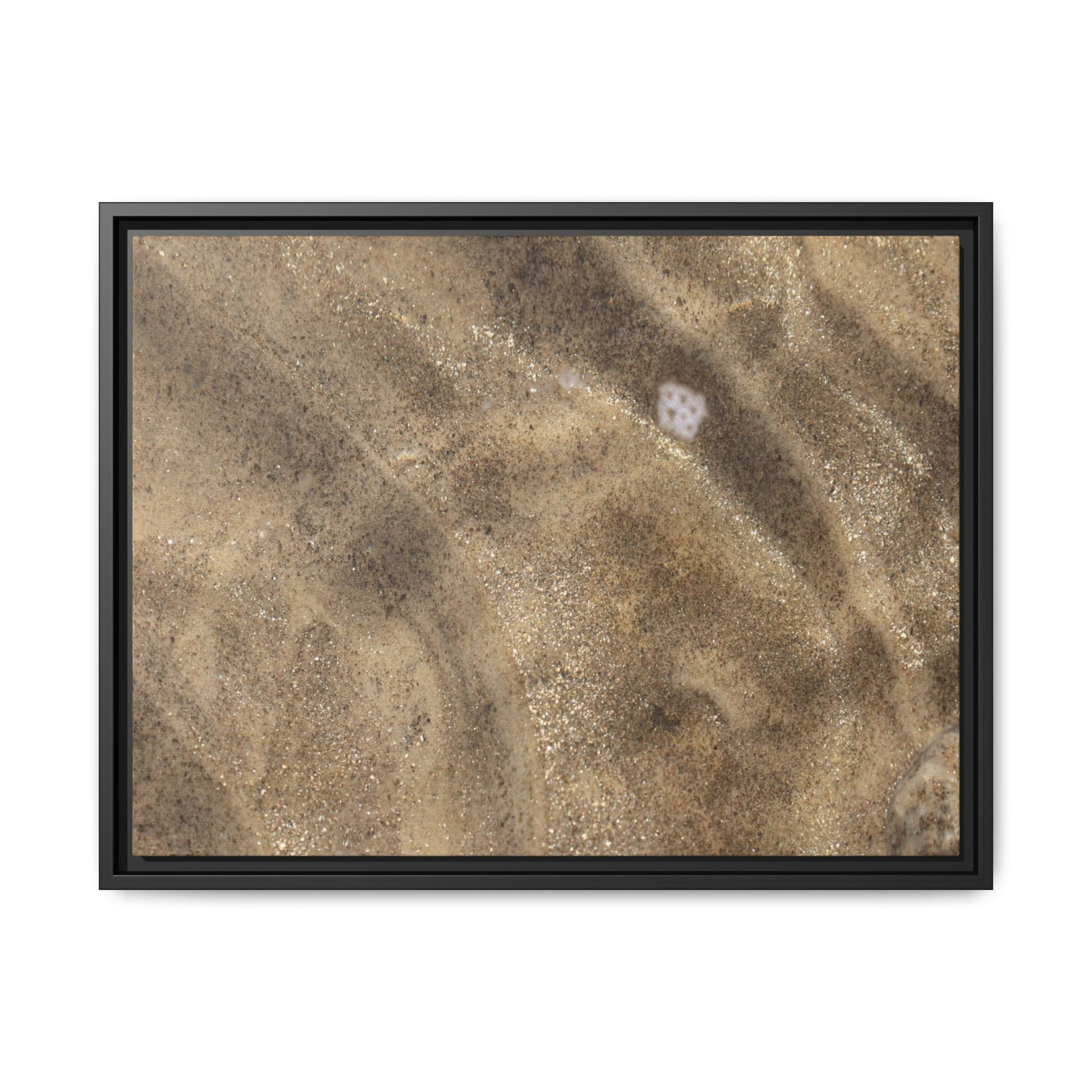 Underwater Sand Exploration - Unique Stretched Canvas Wall Art - Art By Earth