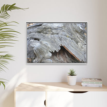 Driftwood Dreams - Unique Stretched Canvas Wall Art - Art By Earth