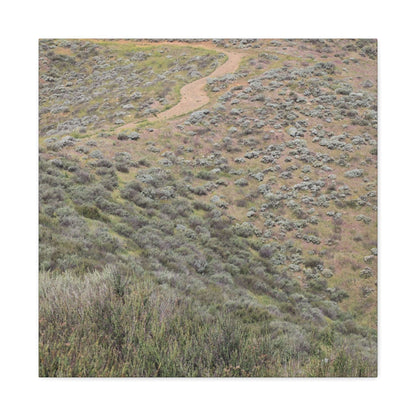Desert Path Through Sagebrush - Unique Frameless Canvas Wall Art - Art By Earth