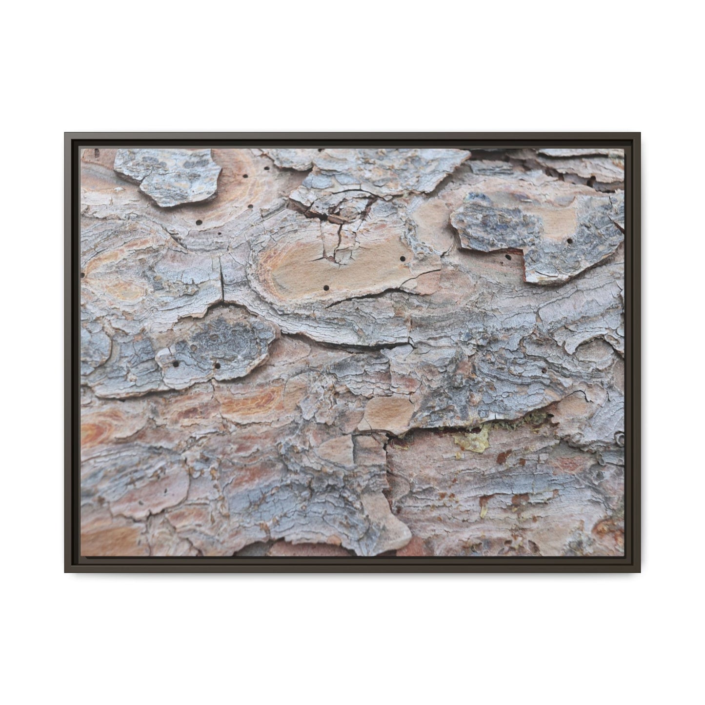 Peeling Memories - Unique Stretched Canvas Wall Art - Art By Earth