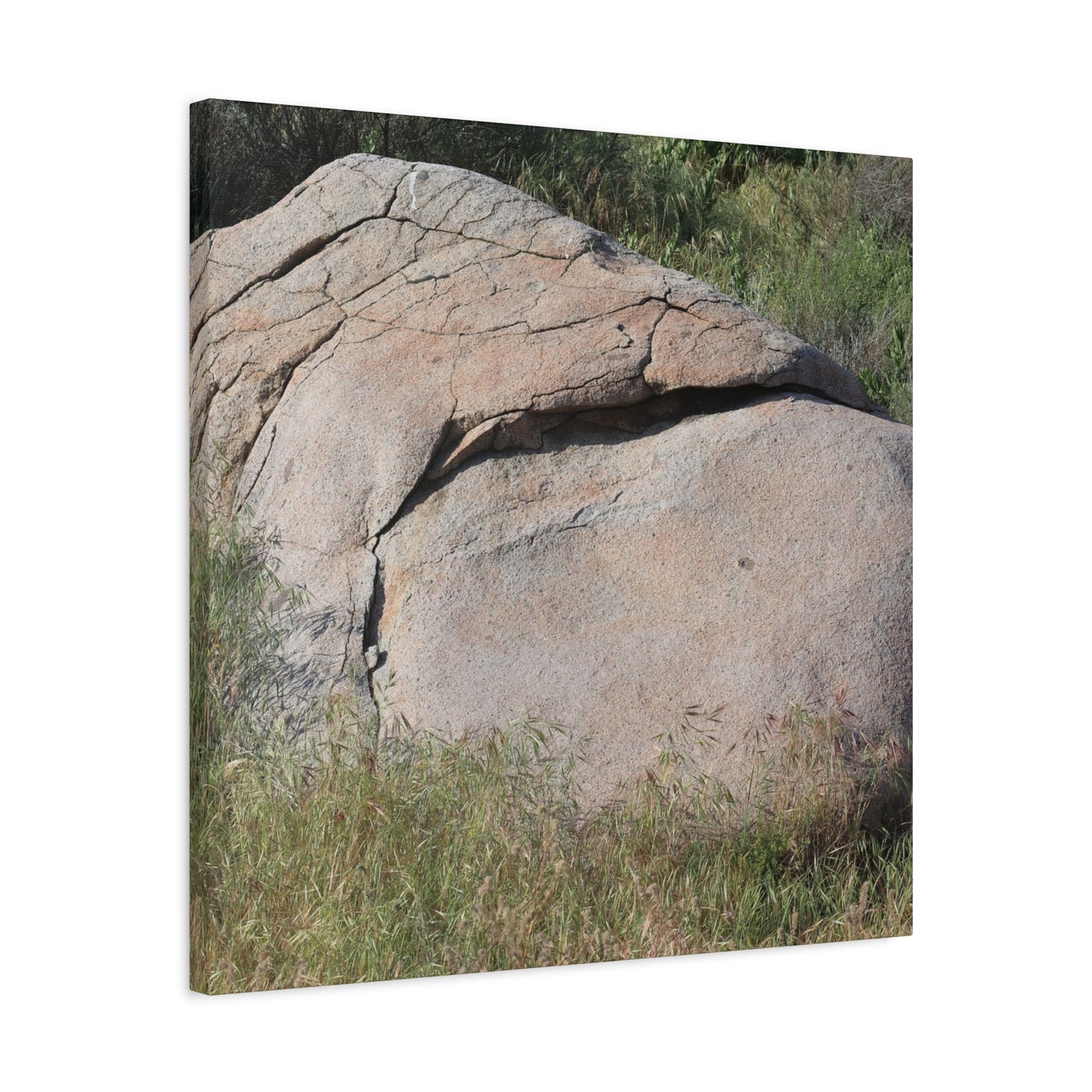 Granite Boulder in Desert Scrub - Unique Frameless Canvas Wall Art - Art By Earth