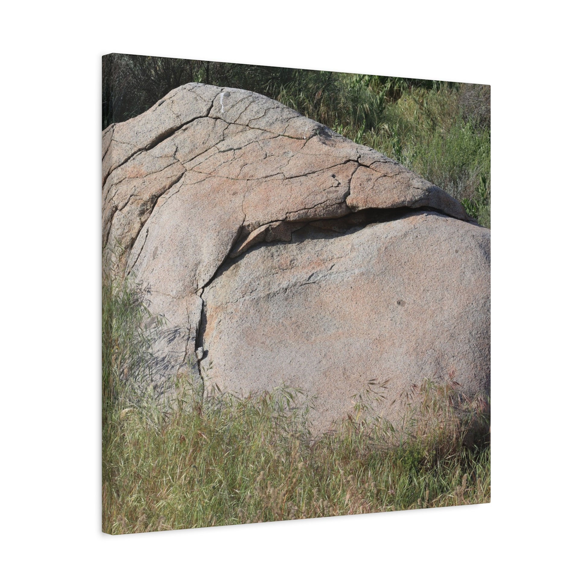 Granite Boulder in Desert Scrub - Unique Frameless Canvas Wall Art - Art By Earth