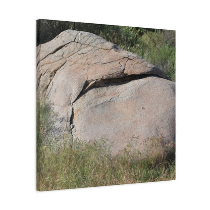 Granite Boulder in Desert Scrub - Unique Frameless Canvas Wall Art - Art By Earth