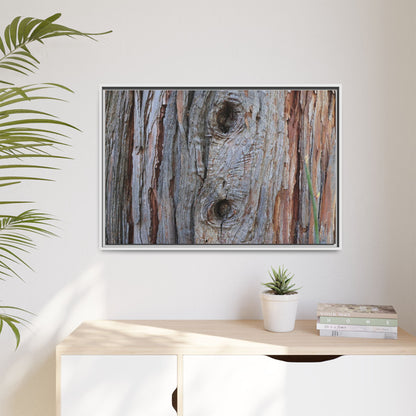 Knotty Nature - Unique Stretched Canvas Wall Art - Art By Earth