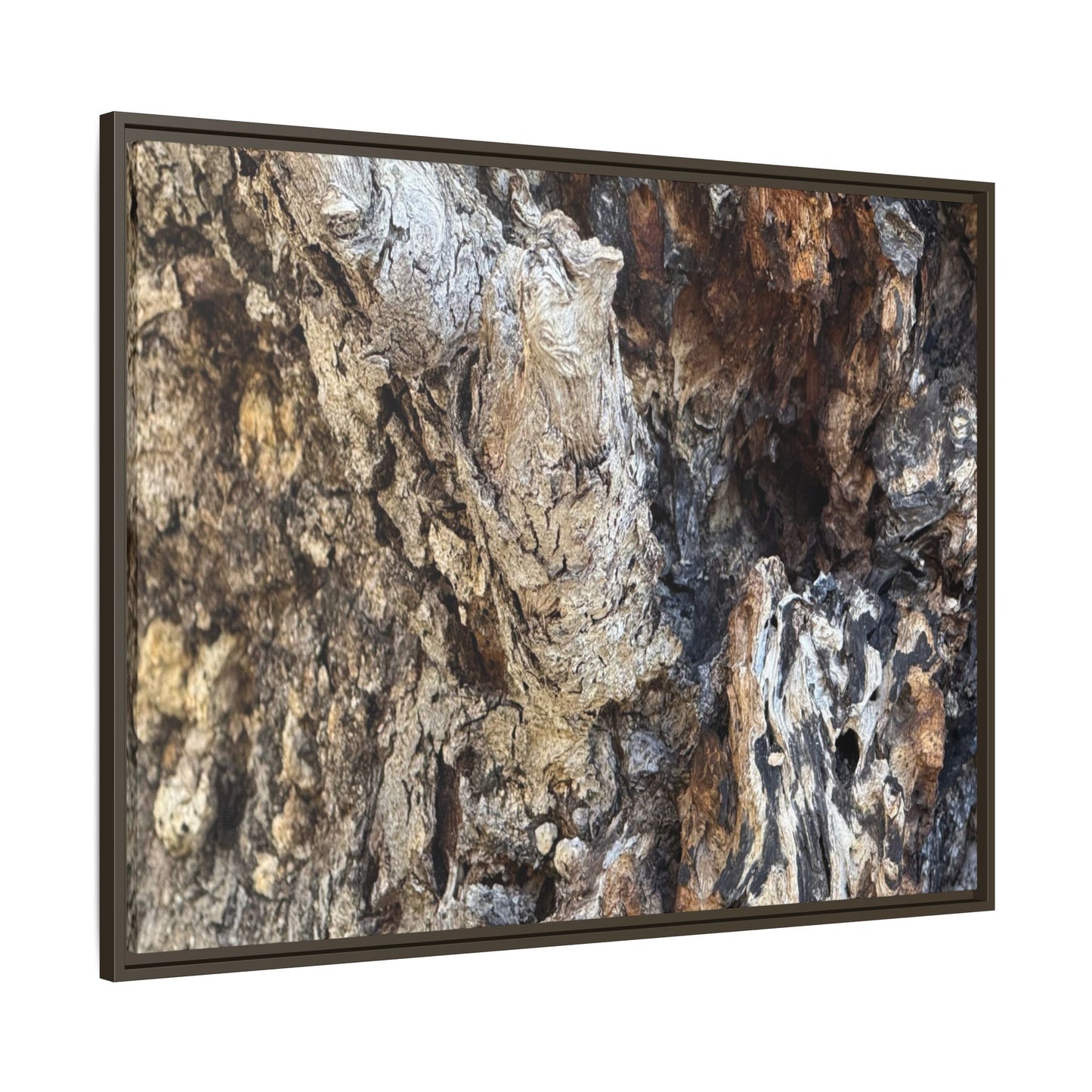 Ancient Tree Texture - Unique Stretched Canvas Wall Art - Art By Earth