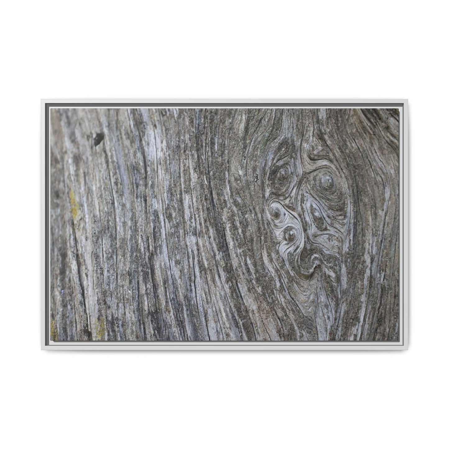 Eternal Knots - Unique Stretched Canvas Wall Art - Art By Earth