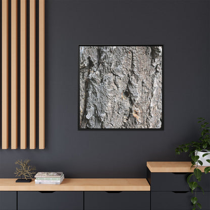 Crusty Exterior - Unique Stretched Canvas Wall Art - Art By Earth