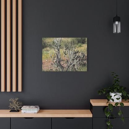 Desert Bloom in Shadow - Unique Frameless Canvas Wall Art - Art By Earth