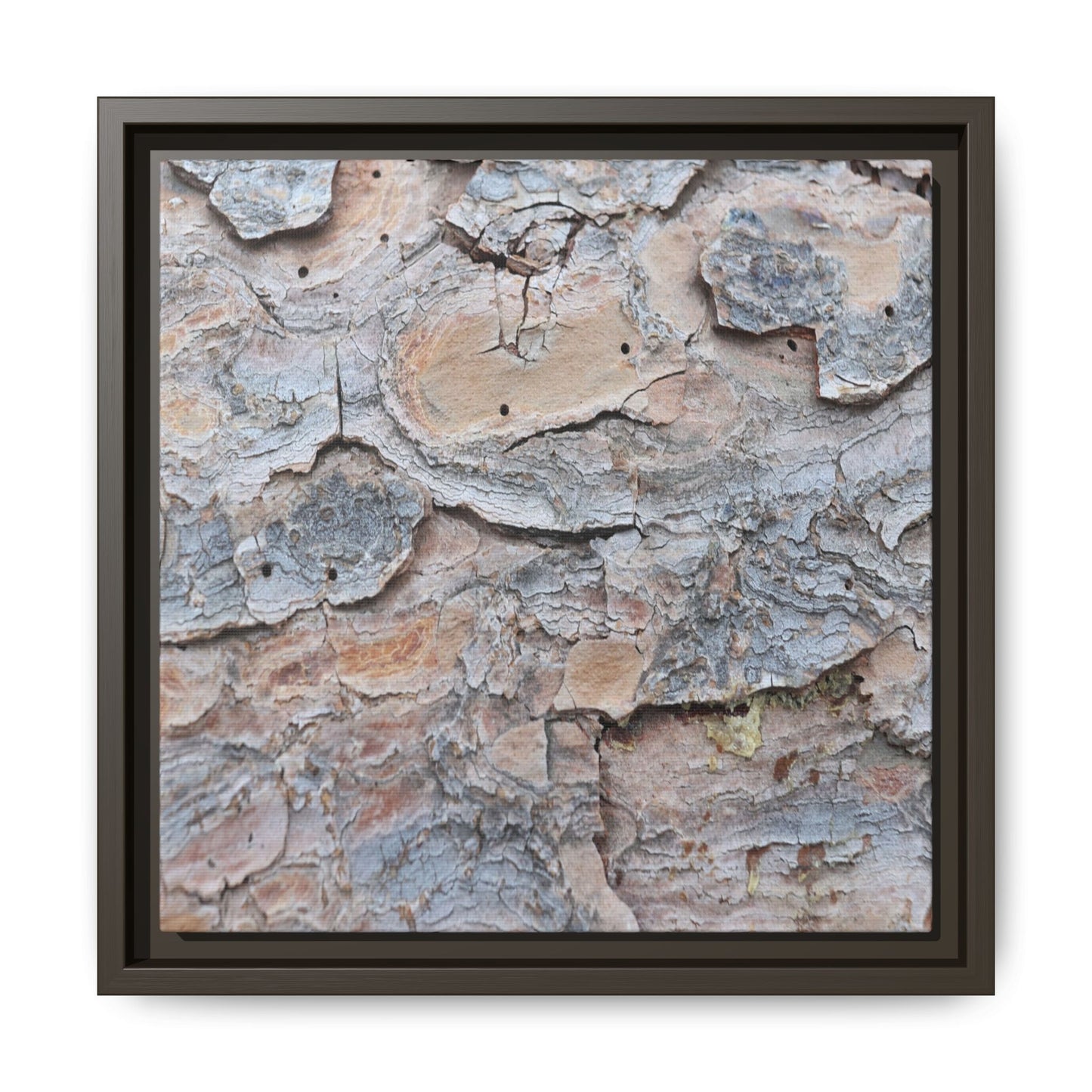 Peeling Memories - Unique Stretched Canvas Wall Art - Art By Earth