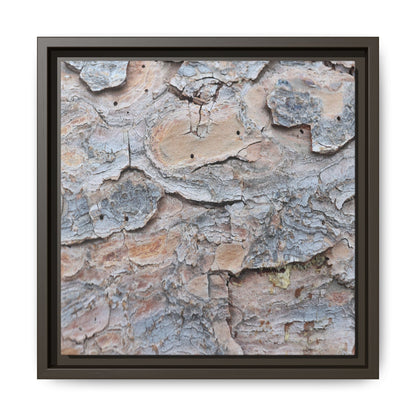 Peeling Memories - Unique Stretched Canvas Wall Art - Art By Earth