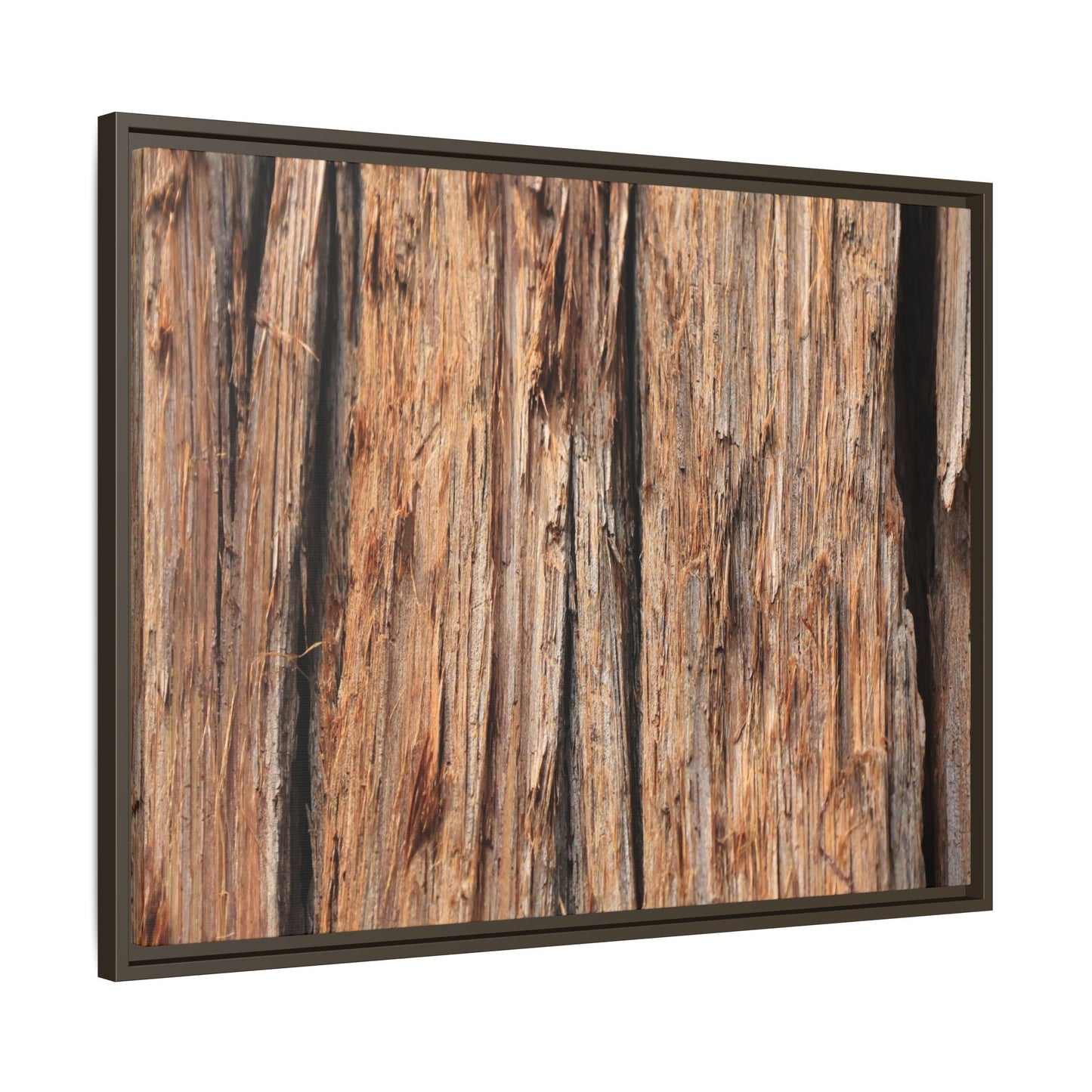 Timber Echoes - Unique Stretched Canvas Wall Art - Art By Earth