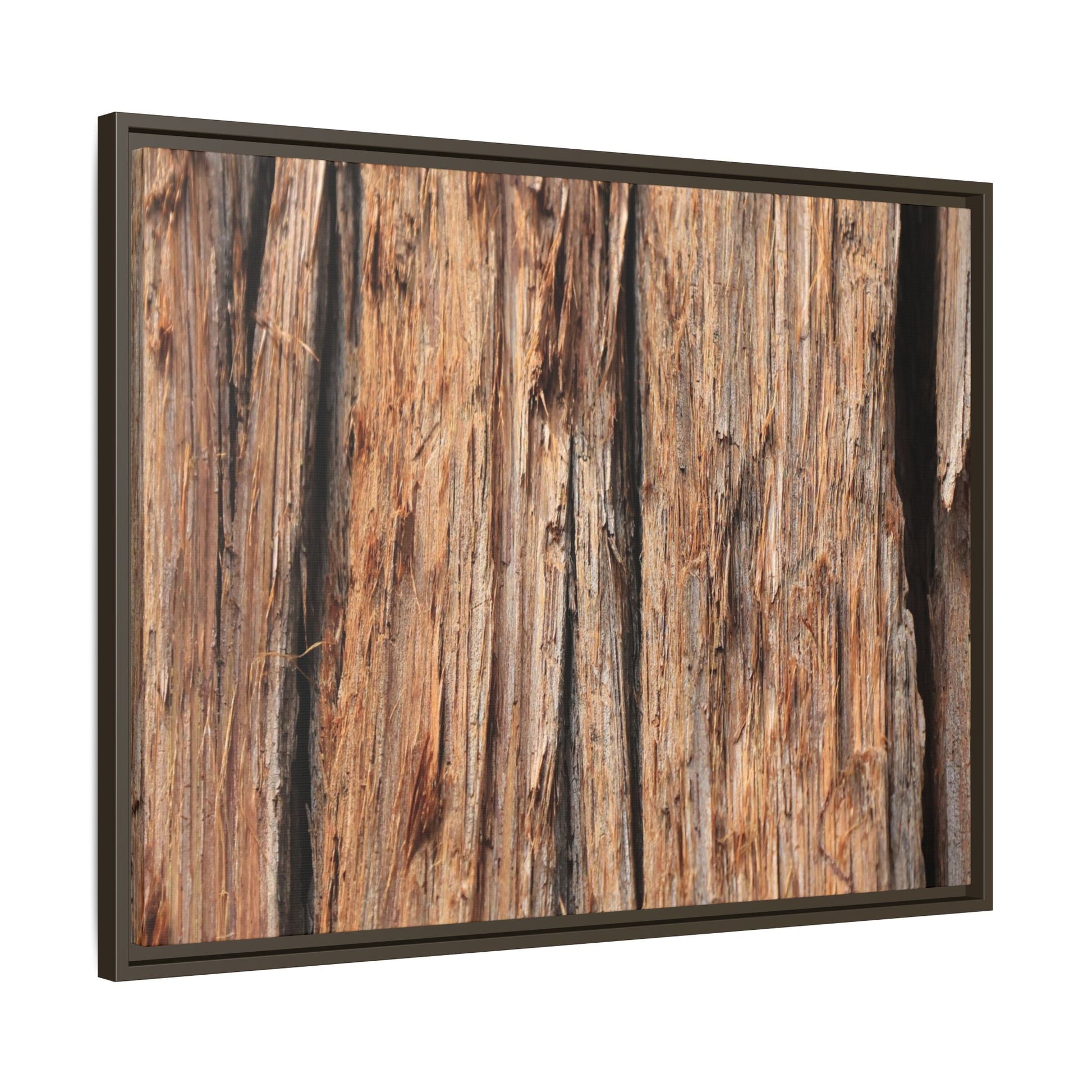 Timber Echoes - Unique Stretched Canvas Wall Art - Art By Earth