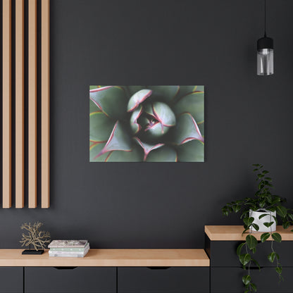 Emerald Spiral - Unique Frameless Canvas Wall Art - Art By Earth
