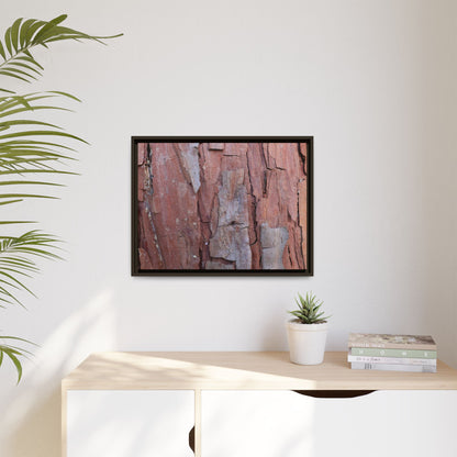 Peeling Bark - Unique Stretched Canvas Wall Art - Art By Earth