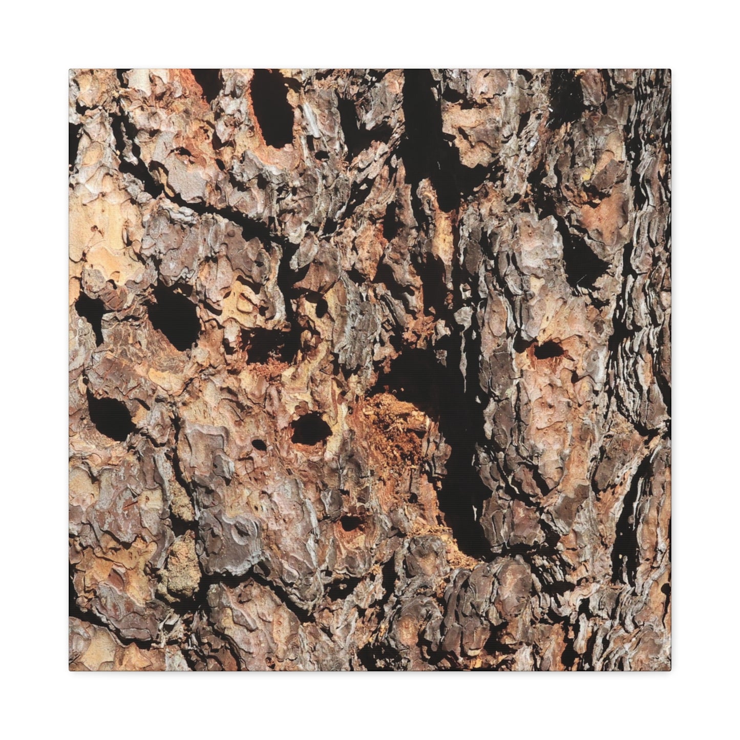 Tree Bark Mosaic - Unique Frameless Canvas Wall Art - Art By Earth