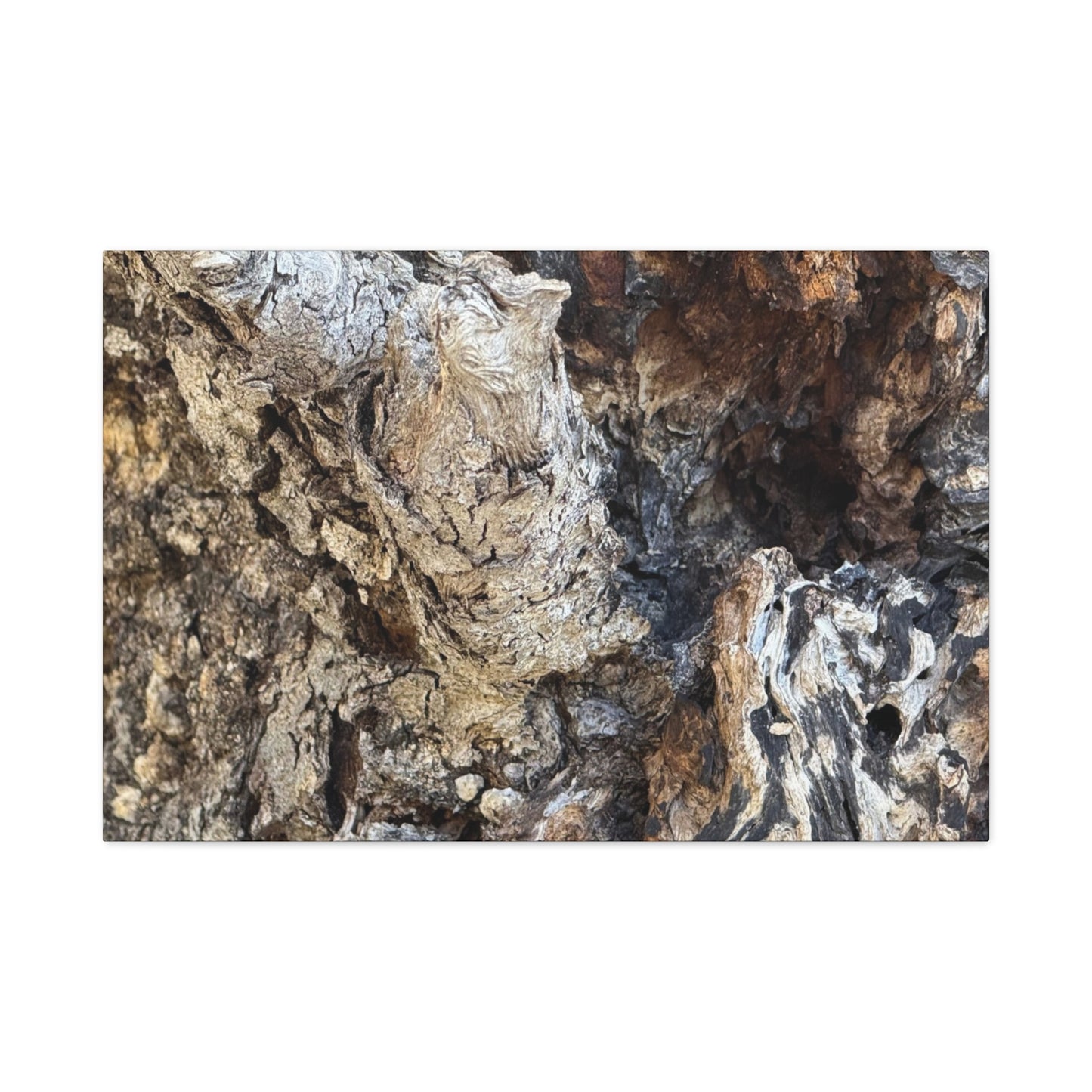 Weathered Bark Texture - Unique Frameless Canvas Wall Art - Art By Earth