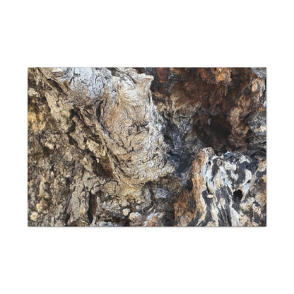 Weathered Bark Texture - Unique Frameless Canvas Wall Art - Art By Earth