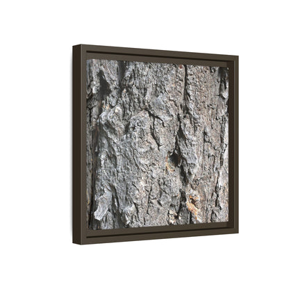 Crusty Exterior - Unique Stretched Canvas Wall Art - Art By Earth