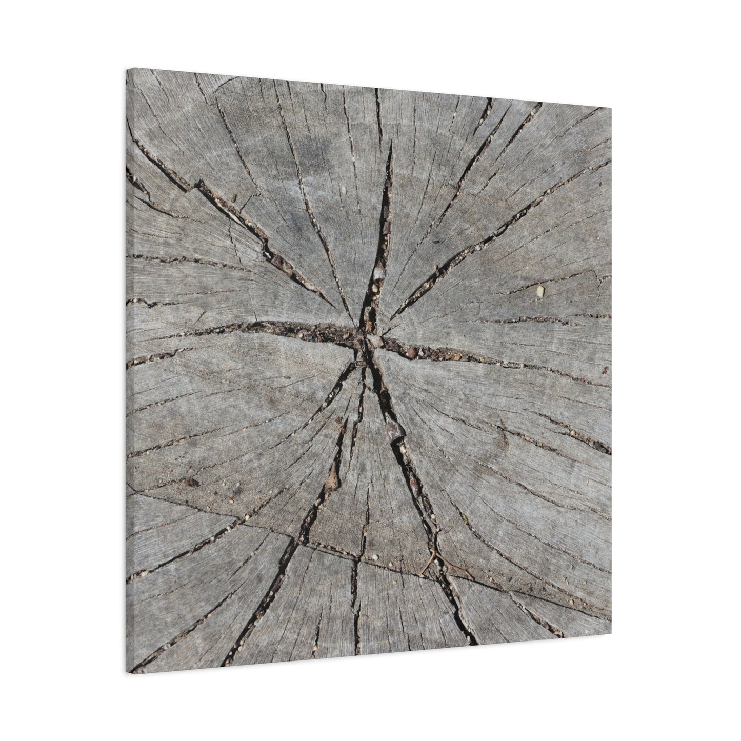 Cracked Chronicle - Unique Frameless Canvas Wall Art - Art By Earth