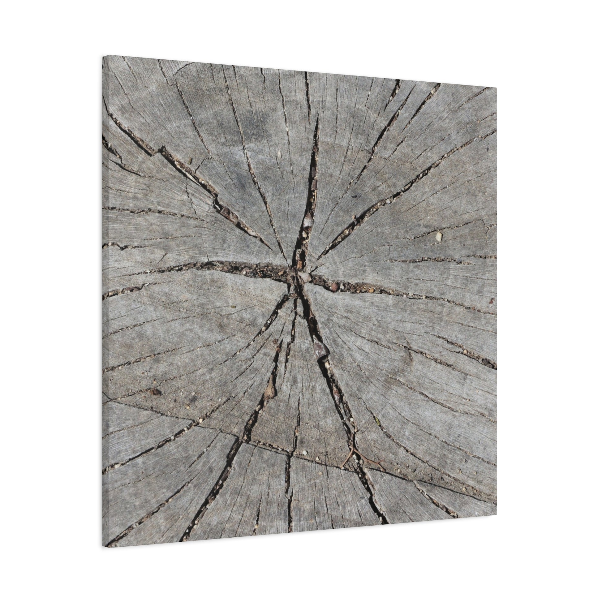 Cracked Chronicle - Unique Frameless Canvas Wall Art - Art By Earth