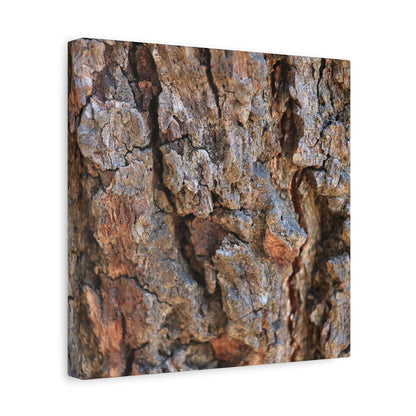 Nature's Skin - Unique Frameless Canvas Wall Art - Art By Earth